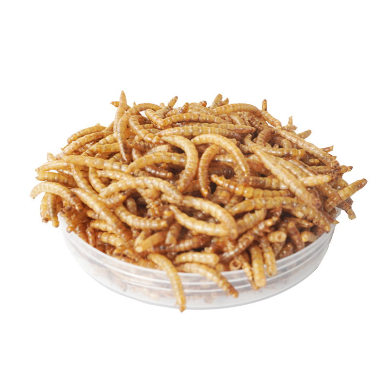 Food Snacks With High Protein - وجبات خفيفة عالية البروتين للحيوانات الأليفة: